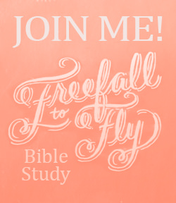 Freefall to Fly Online Bible Study with Rebekah Lyons