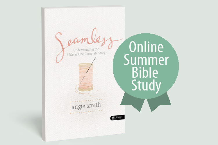 lifeway bible studies, cover of seamless by angie smith online bible study