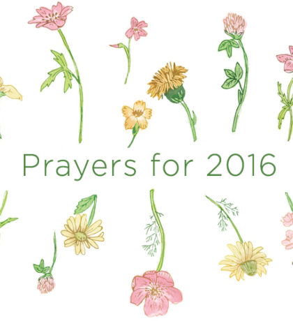 #PrayersFor2016 | Cultivate