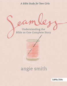 Cover of Seamless for Teen Girls by Angie Smith