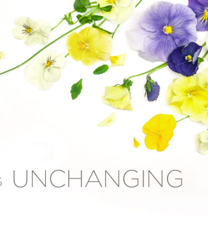 Attributes of God | He is Unchanging