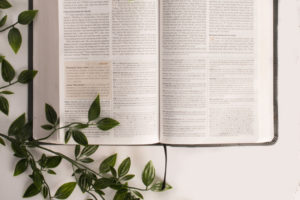 A Chronological Bible Reading Journey