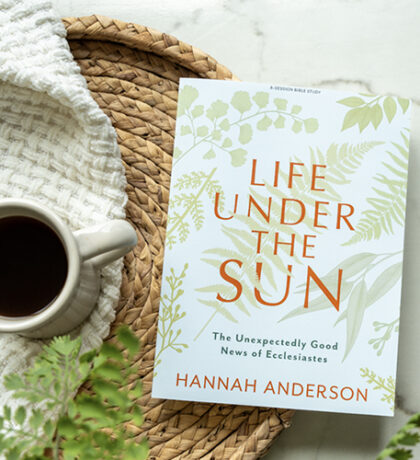 New “Life Under the Sun” Bible Study | Read an Excerpt