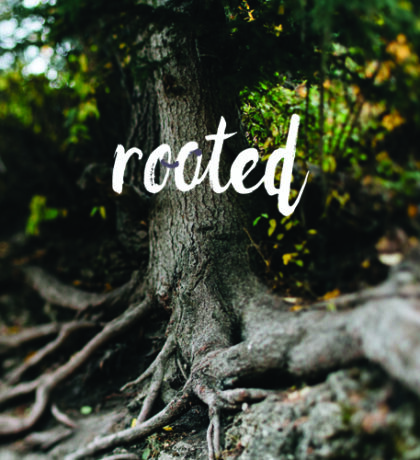 December Prayer Prompt | Prayers to Grow Deeper Roots
