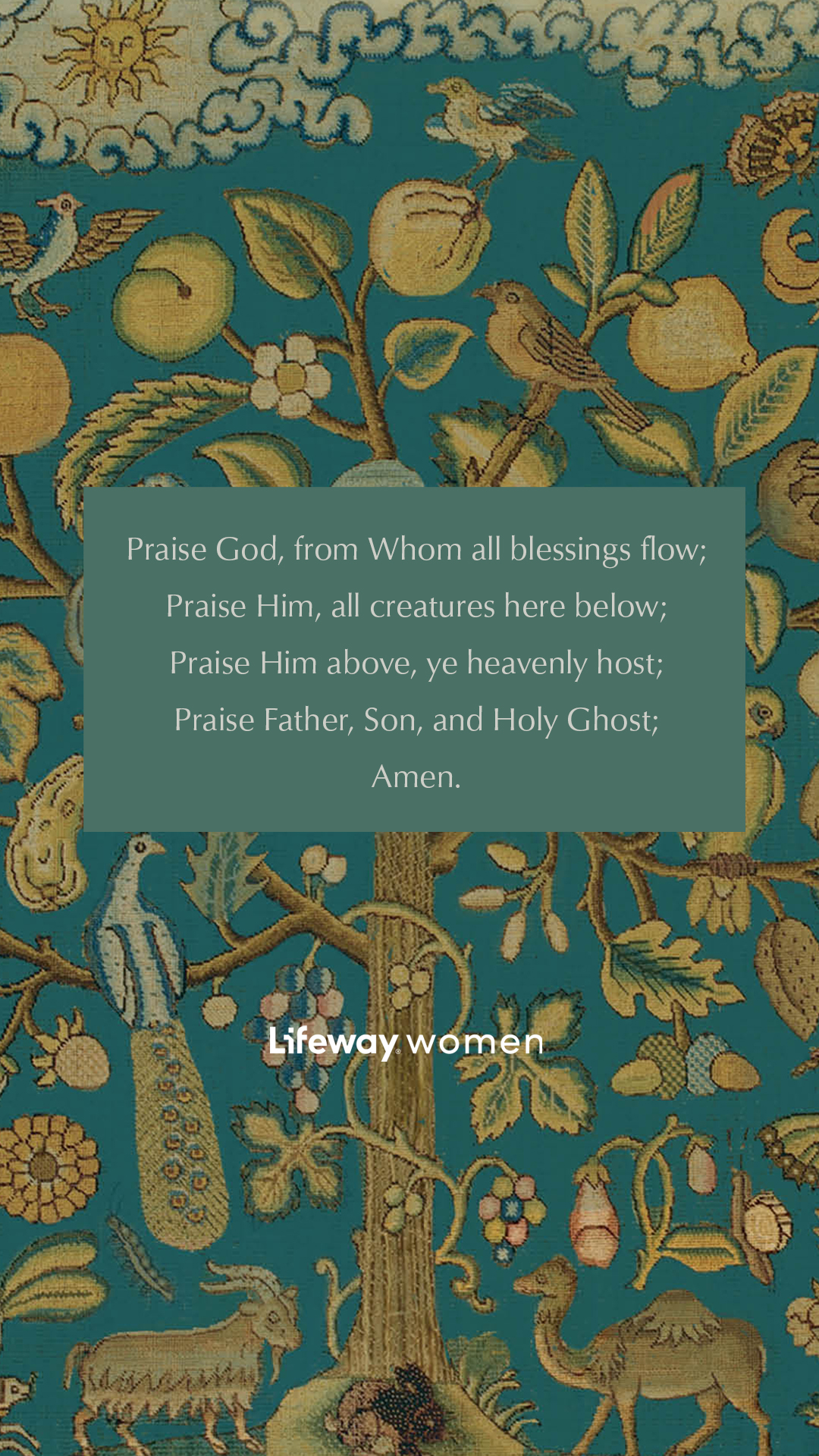 Jen Wilkin's New Revelation Bible Study Take a Look Inside!