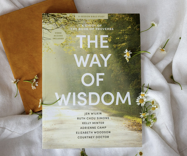 Preorder the Way of Wisdom Bible study