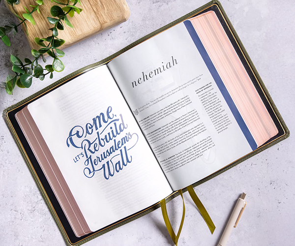 CSB She Reads Truth Bible