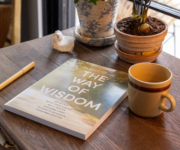 The Way of Wisdom online Bible study