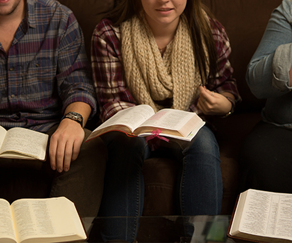 Reading the Bible to build biblical literacy