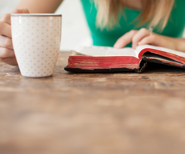 Woman studying Deuteronomy