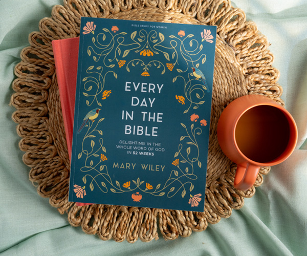 Every Day in the Bible by Mary Wiley